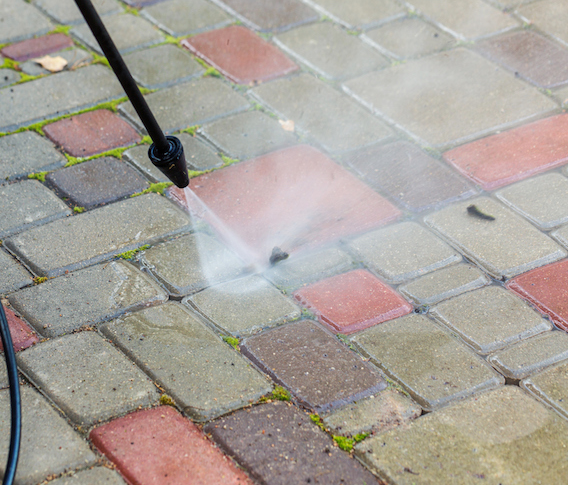 Hypastat (Sodium Hypochlorite) vs traditional moss treatments - What's the difference?